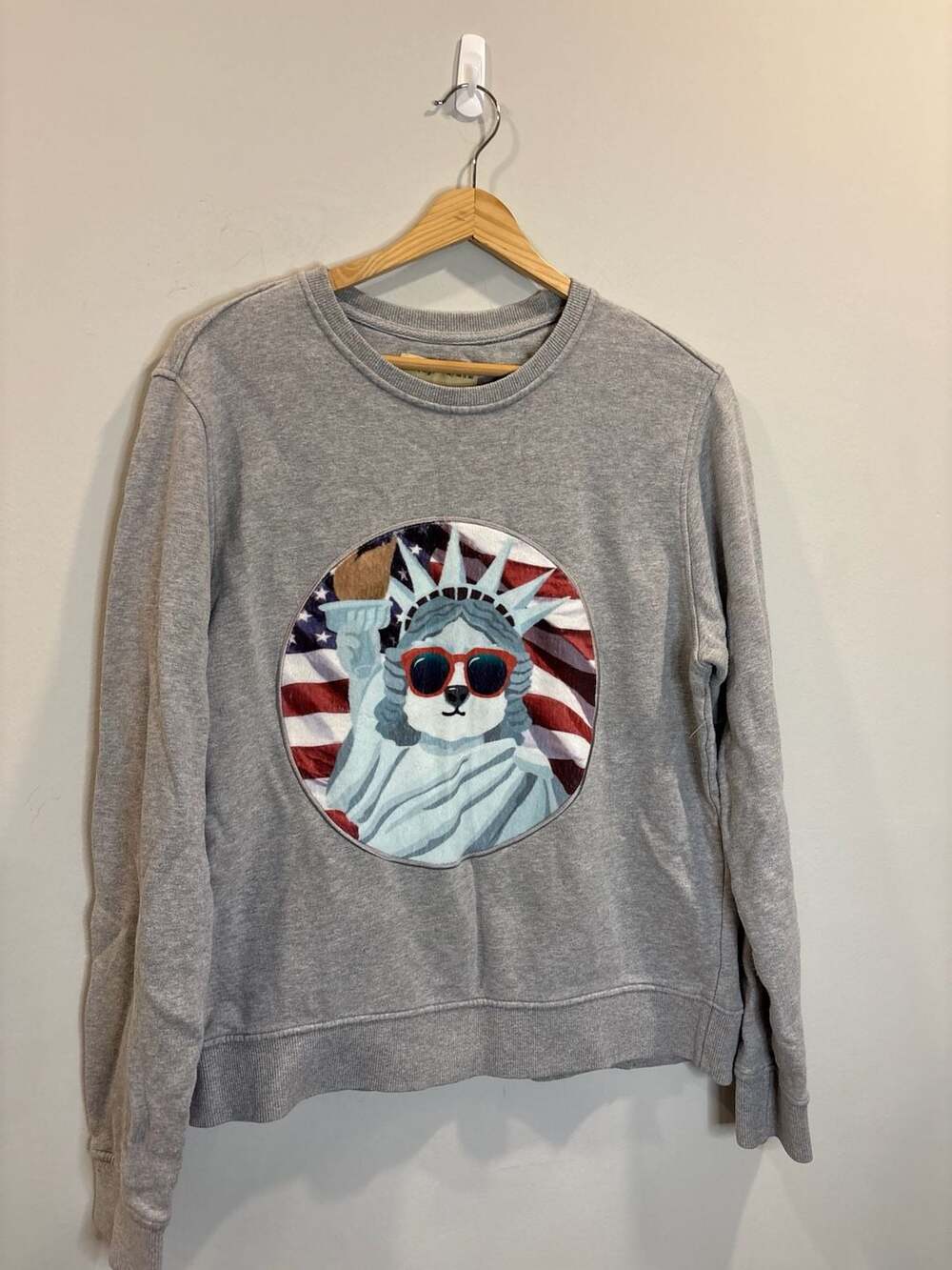 Campaign Beyond Closet Gray Sweatshirt Pullover Statue of Liberty Cat Graphic Si